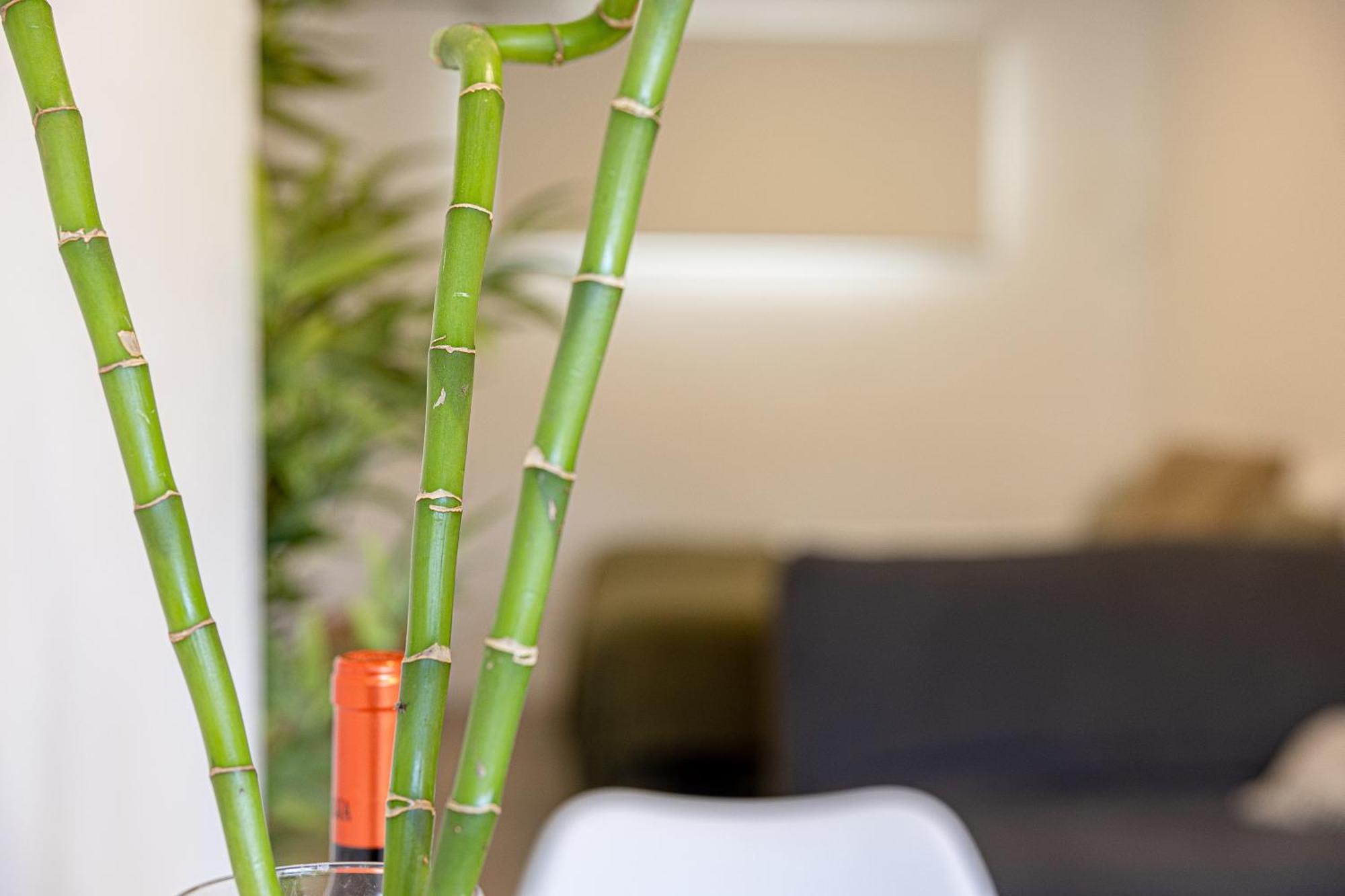Bambu Suites Vegueta Alquiler Por Habitacion Las Palmas / Gran Canaria Exterior foto